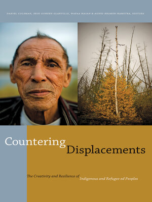 cover image of Countering Displacements